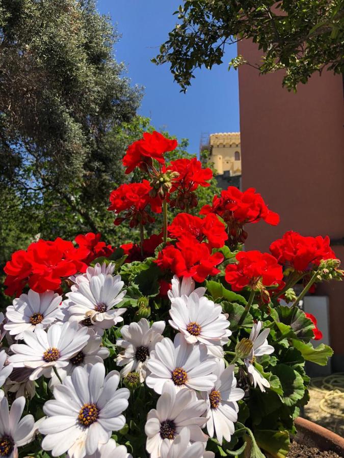 Sonnino B&B Προτσίντα Εξωτερικό φωτογραφία