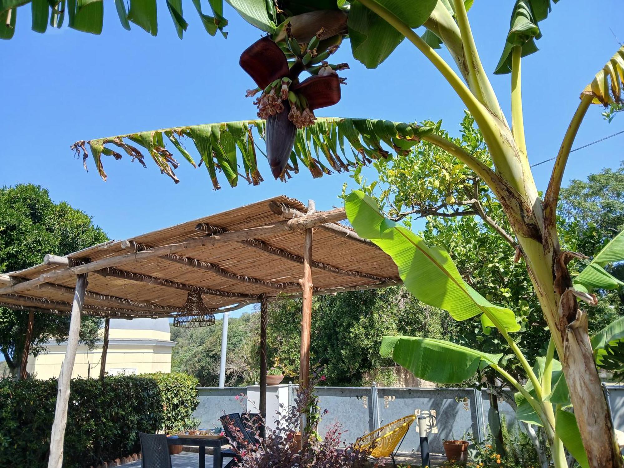 Sonnino B&B Προτσίντα Δωμάτιο φωτογραφία