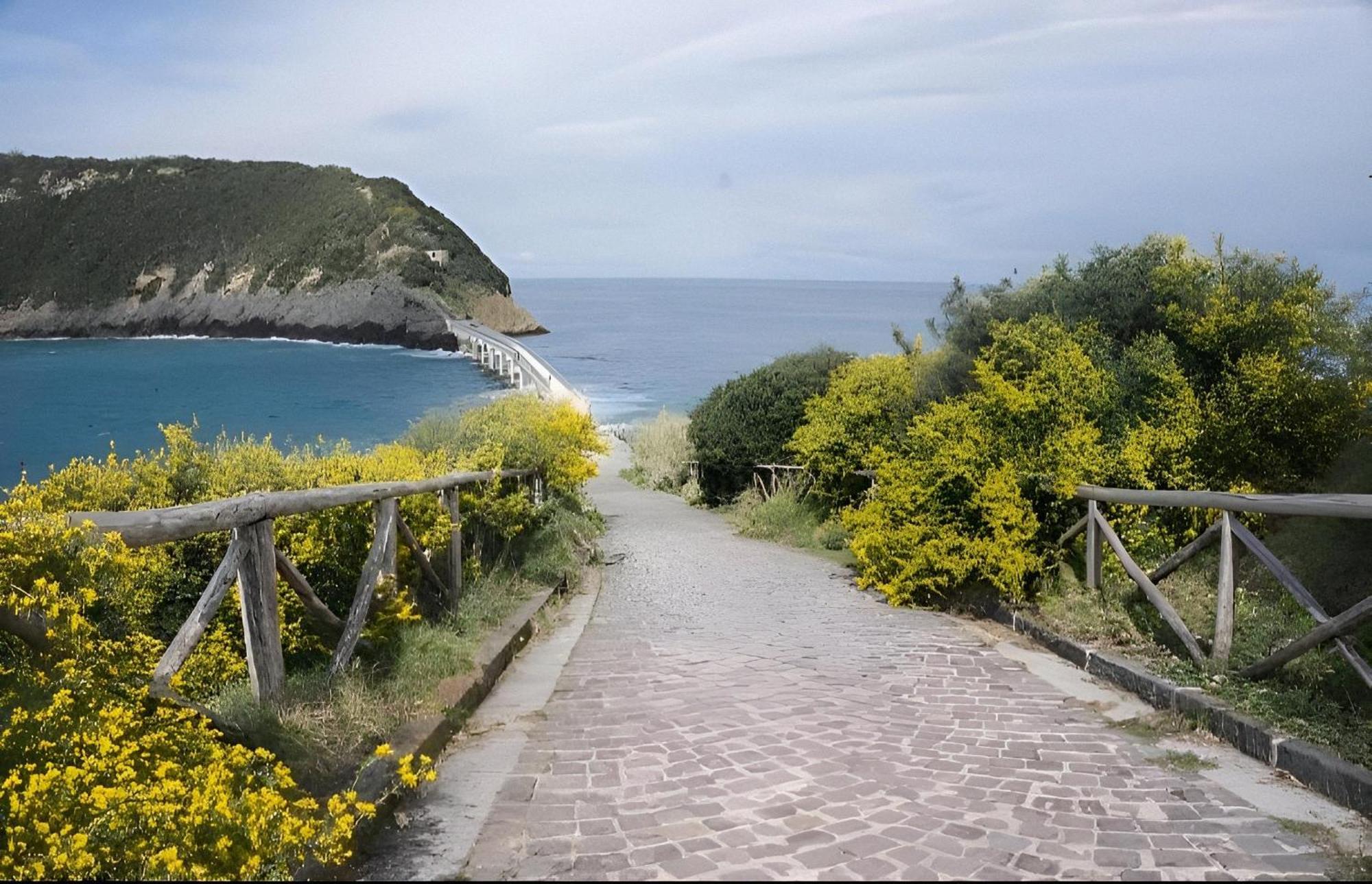 Sonnino B&B Προτσίντα Εξωτερικό φωτογραφία